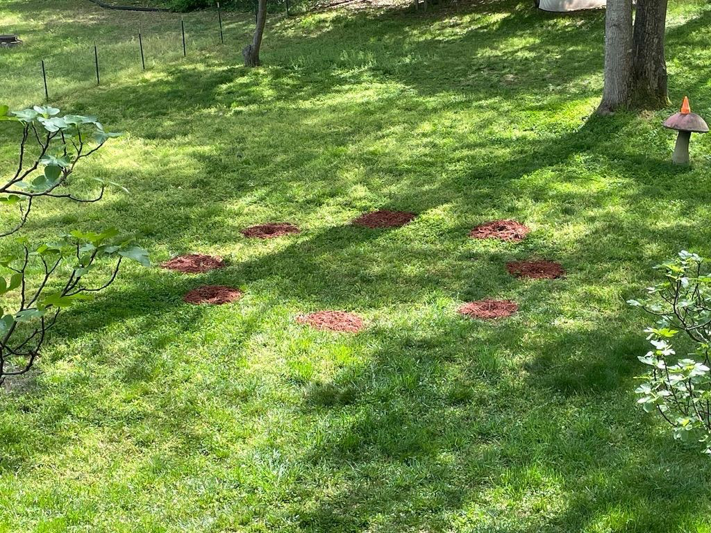 eight mulched trees in a circle. it&rsquo;s too far away to see the trees, since they&rsquo;re so small!