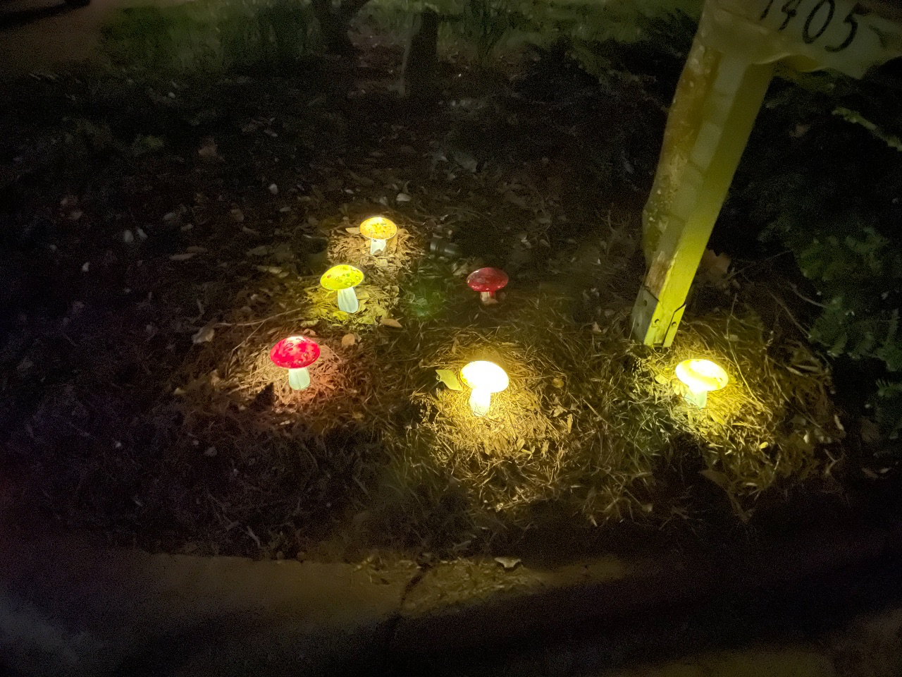 five plastic mushroom lights.